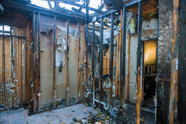 Professional Soot Cleanup technician working in Mowbray Mountain, TN